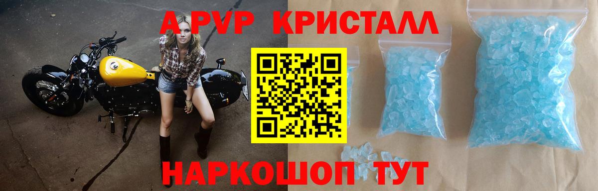 A-PVP СК Калининград
