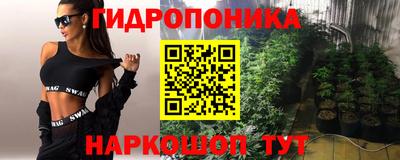 шишки Можайск