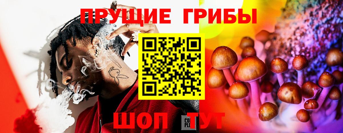 Галлюциногенные грибы ЛСД Калининград